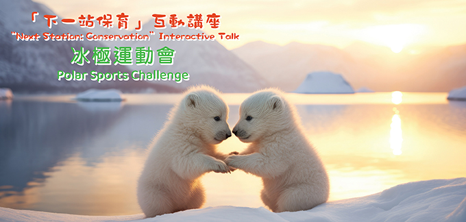 Interactive Talk 2: Polar Sports Challenge